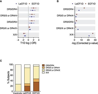 The rare DRB1*04:08-DQ8 haplotype is the main HLA class II genetic driver and discriminative factor of Early-onset Type 1 diabetes in the Portuguese population